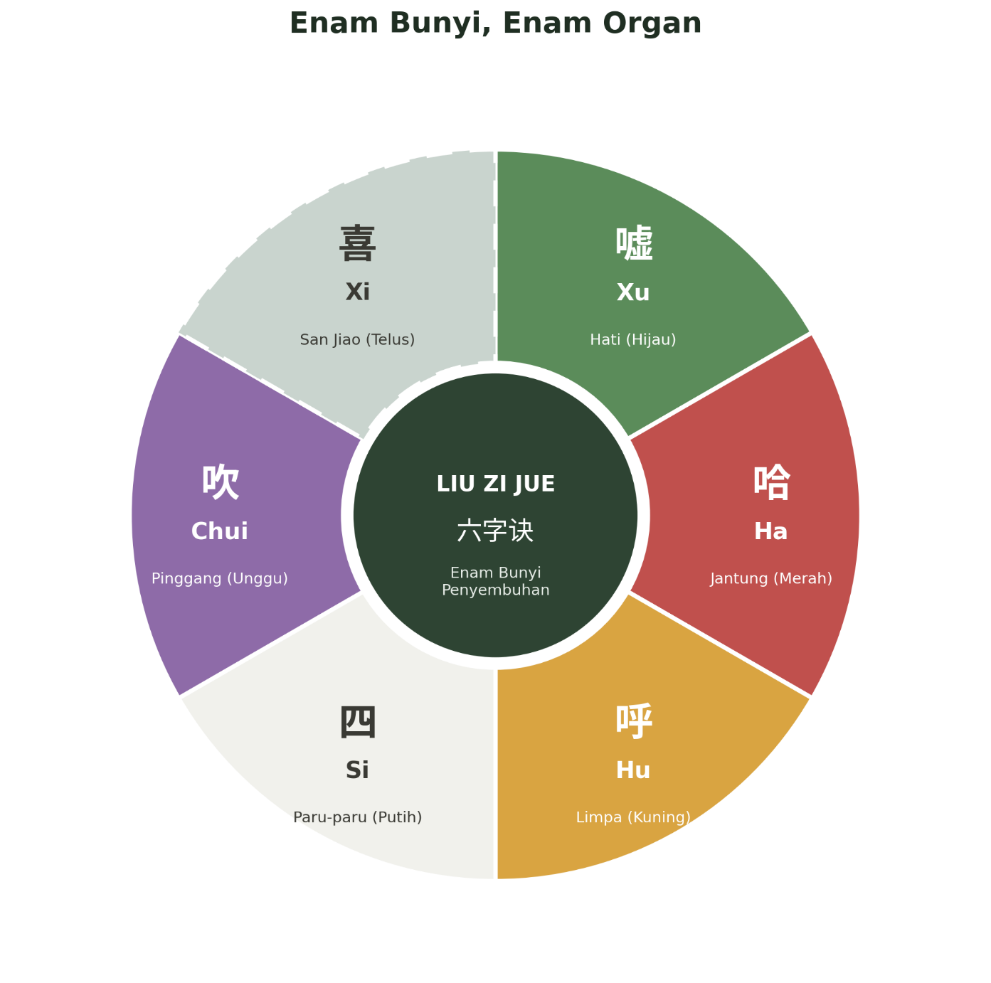 Rajah Kitaran Enam Organ Liu Zi Jue